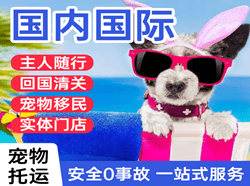 西双版纳机场空运国际宠物托运 【国
